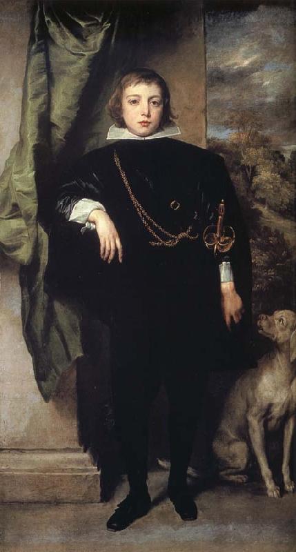 Anthony Van Dyck Prince Rupert of the Palatinate China oil painting art